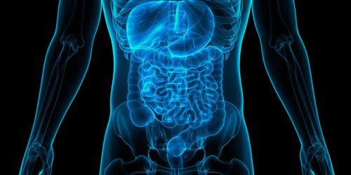 gastroenterology